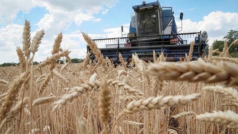 World Trade Organization: Extension of Grain Deal Will Lower Product Prices