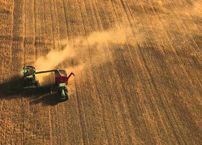 Traders: Algeria is Believed to Have Purchased Hard Wheat in Tender