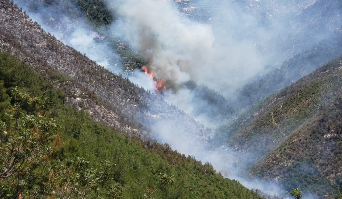 Lebanon: Fire Season Begins as Akar Al-Ateeka Ignites