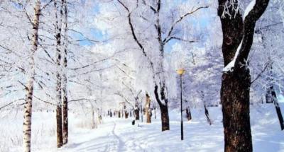 Weather Forecast for the Coming Days
