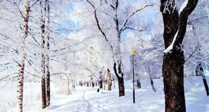 Weather Forecast for the Coming Days