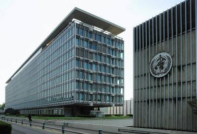 WHO Warns of "Imminent Disaster" in Gaza as Services Collapse