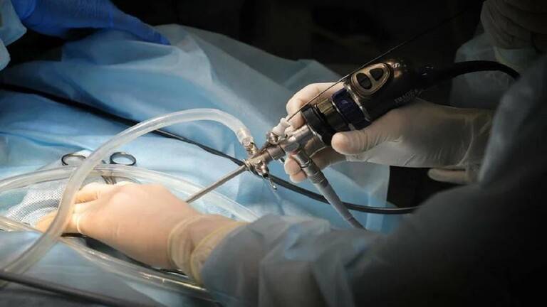 Japanese Develop Endoscope for Examining Blood Vessels and Nerves
