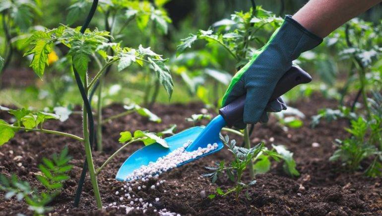 Report: Russia Increases Fertilizer Export Quotas