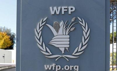 WFP: More than $13 Million Worth of Food Looted in Sudan