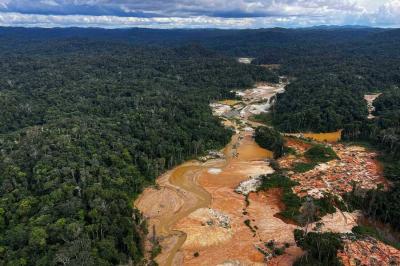 Deforestation Rate in Brazilian Amazon Declines