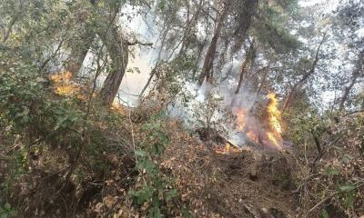 Lebanese Army Intervenes to Extinguish Major Fire in Debié