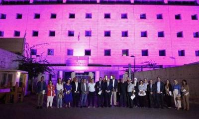 Lebanese Ministry of Health in Pink