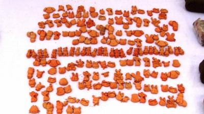 Algeria Uncovers Dangerous Drug in Candy Tablets for Children