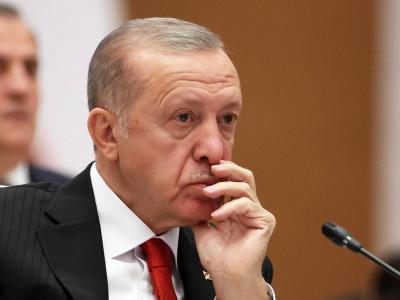 Erdogan Says Gulf Countries Recently Sent Money to Support Turkey's Economy