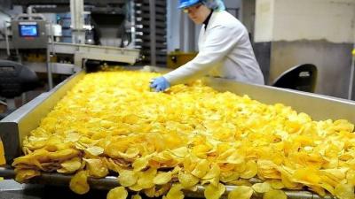 Closure of Chips Factory in Jezzine
