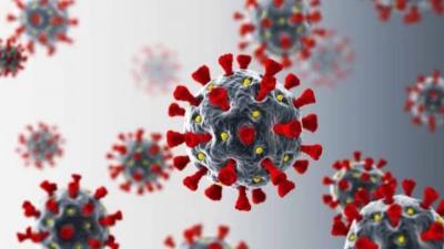 Egypt Announces Discovery of Two Cases of Coronavirus Variant