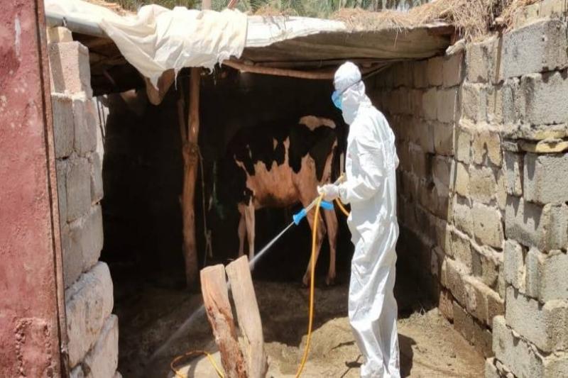 Increase in Hemorrhagic Fever Deaths in Iraq