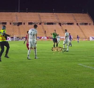 Video - A Football Match Goes Beyond Expectations
