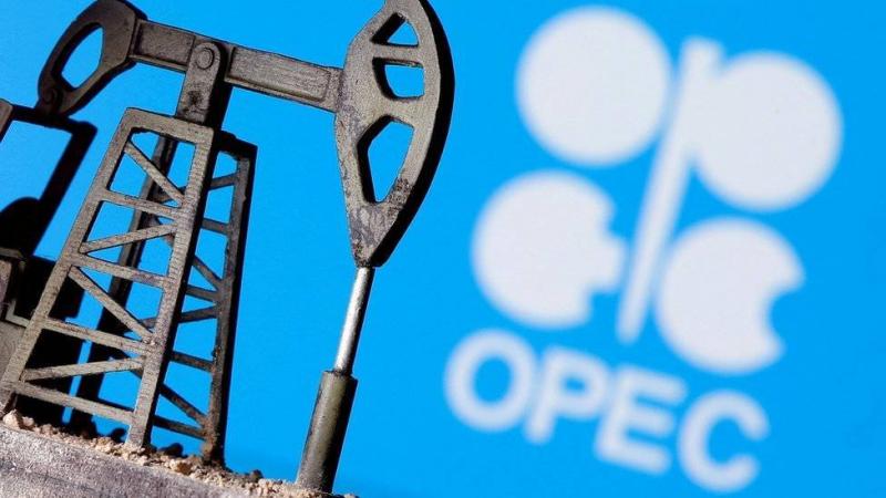 Survey: OPEC Production Recorded First Decline Since July in November