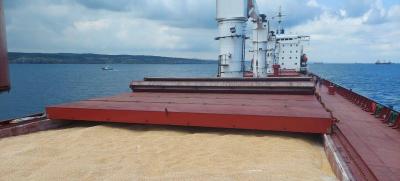 Ukraine Seeks to Increase Grain Exports Through Alternate Scheme