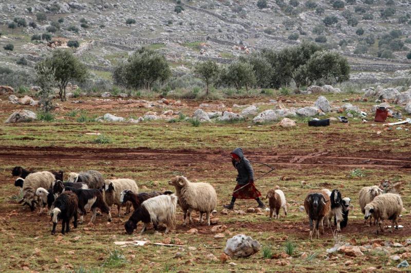 Title: Army and UNIFIL Search for Shepherds in Al-Wazani