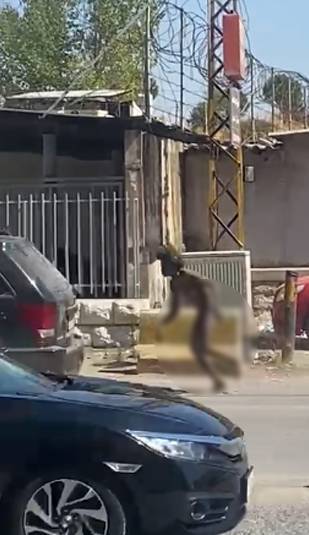 Title: Ethiopian Woman Walks Naked in Bekaa Valley – Her Story Revealed