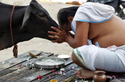 India: Three Suspects Arrested for Killing Man Suspected of Possessing Beef
