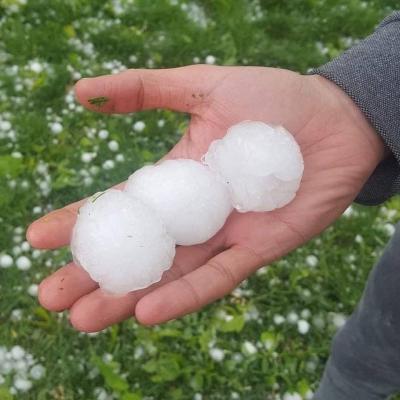 Deaths of Animals and Severe Material Damage Due to Hailstones in Turkey