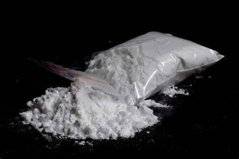 Seizure of 8,000 Kilograms of Cocaine in the Netherlands