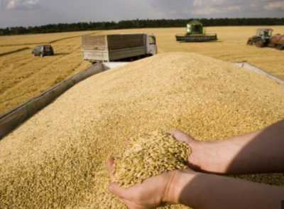 Title: Ukraine Anticipates Increase in Winter Wheat Production