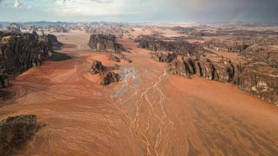 Heartwarming Shots of Camels Under Rain and Hail