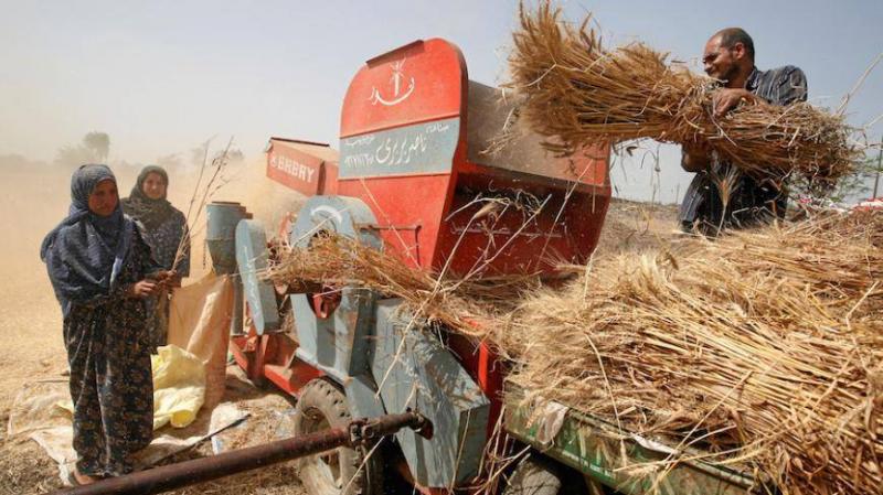 Barter Agreement Between India and Egypt: Grains, Goods, and Gas