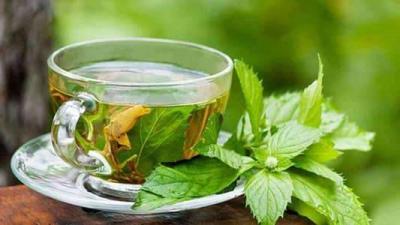 Green Tea to Combat Coronaviruses!