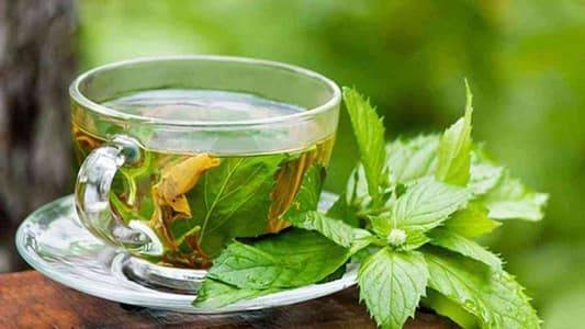 Green Tea to Combat Coronaviruses!
