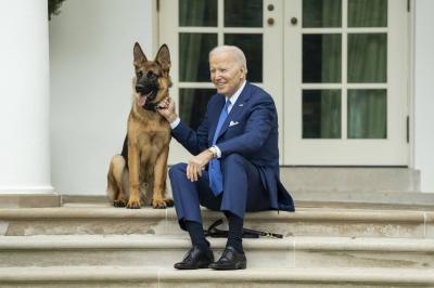 After a Series of Incidents at the White House.. "Commander" Removed