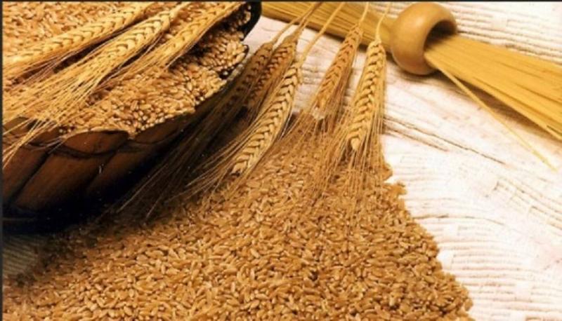 Title: Lebanon Issues Tender to Purchase 30,000 Tons of Wheat Flour