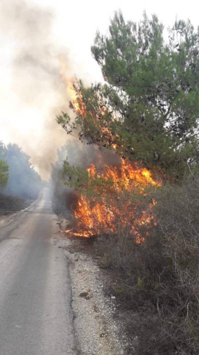 Civil Defense: Fires Under Control in Alama Al-Shaab