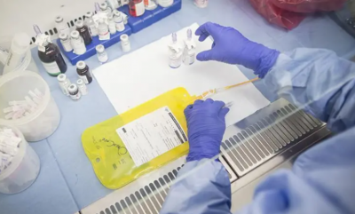 Researchers Identify Causes of Chronic Inflammation