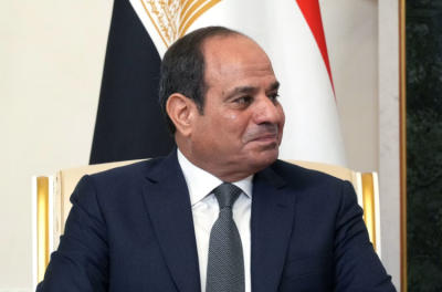 Sisi: Change in Egypt Begins with Organizing Births