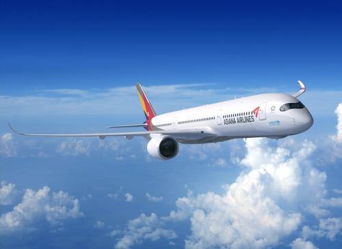 Safe Landing of Plane After Door Opens During Flight