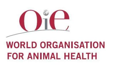 Outbreak of Bird Flu West of Jerusalem
