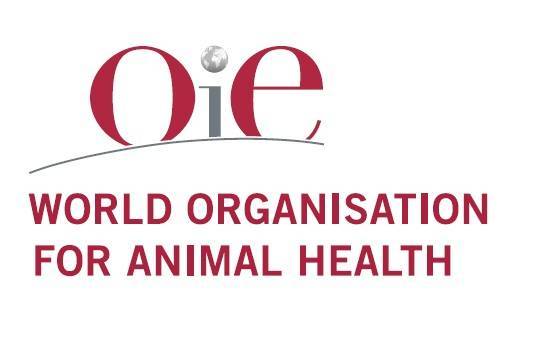 Outbreak of Bird Flu West of Jerusalem