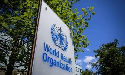 World Health Organization: Major Cholera Outbreak