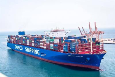 Title: Red Sea Attacks Prompt BHP to Change Shipping Route