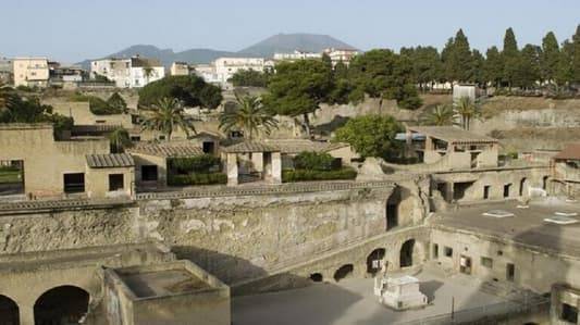 Discovery of a 2000-Year-Old Winery in Rome