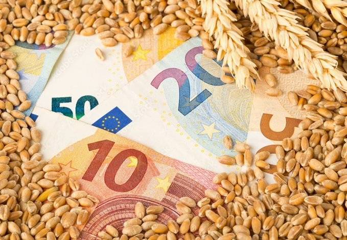 Sharp Rise in Global Wheat Prices