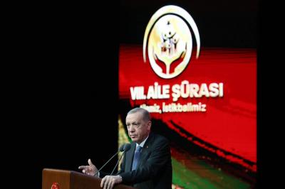 Erdogan: Israeli Attacks on Gaza Exceed Self-Defense