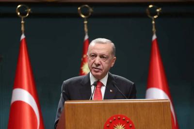 Erdogan Denounces Peacekeeping Forces' Intervention in Cyprus