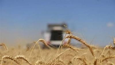 The Expansion of Hunger in the World!