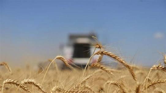 The Expansion of Hunger in the World!