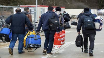 Record Increase in Asylum Applications in the European Union