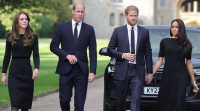Prince Harry and Meghan Markle Cause New Problem for the Royal Palace
