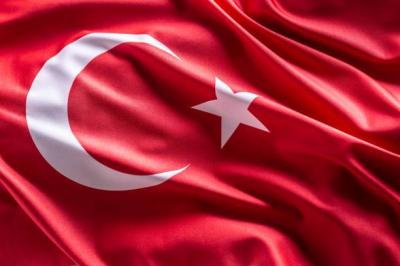 Turkey: Humanitarian Ceasefire in Gaza "Positive Development"