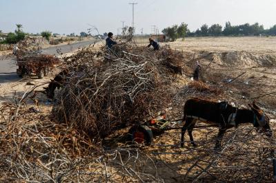 War Forces Gaza Residents to Cook with Firewood